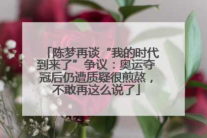 陈梦再谈“我的时代到来了”争议：奥运夺冠后仍遭质疑很煎熬，不敢再这么说了