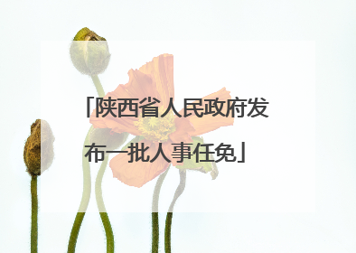 陕西省人民政府发布一批人事任免