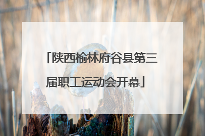 陕西榆林府谷县第三届职工运动会开幕