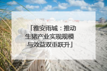 雅安雨城：推动生猪产业实现规模与效益双重跃升