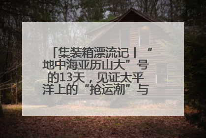 集装箱漂流记丨“地中海亚历山大”号的13天，见证太平洋上的“抢运潮”与“过剩潮”
