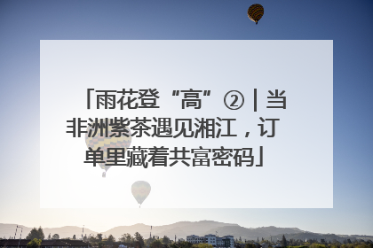 雨花登“高”②｜当非洲紫茶遇见湘江，订单里藏着共富密码