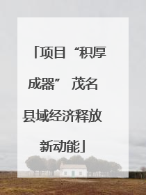 项目“积厚成器” 茂名县域经济释放新动能