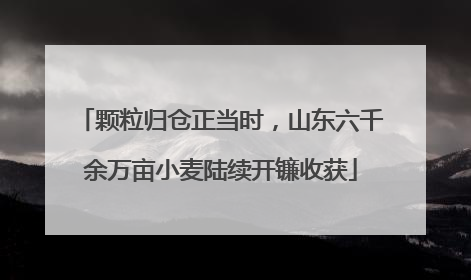 颗粒归仓正当时，山东六千余万亩小麦陆续开镰收获