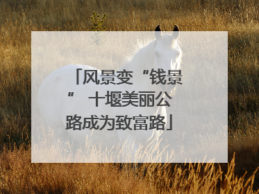 风景变“钱景” 十堰美丽公路成为致富路