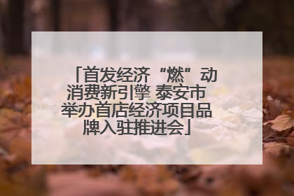 首发经济“燃”动消费新引擎 泰安市举办首店经济项目品牌入驻推进会
