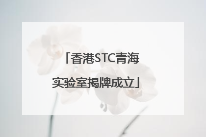 香港STC青海实验室揭牌成立