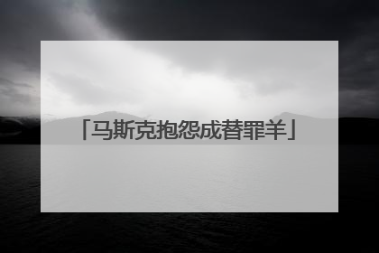 马斯克抱怨成替罪羊