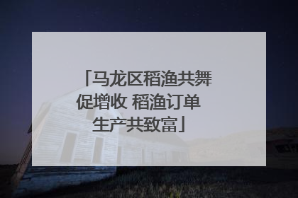 马龙区稻渔共舞促增收 稻渔订单生产共致富
