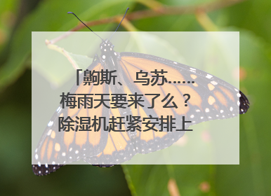 齁斯、乌苏……梅雨天要来了么？除湿机赶紧安排上｜申评测