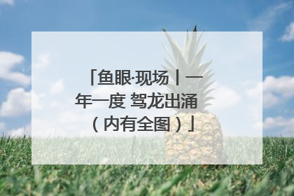 鱼眼·现场丨一年一度 驾龙出涌（内有全图）