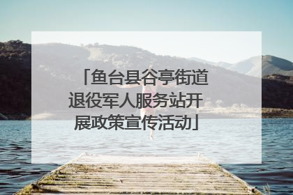 鱼台县谷亭街道退役军人服务站开展政策宣传活动
