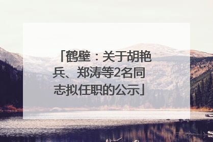 鹤壁：关于胡艳兵、郑涛等2名同志拟任职的公示