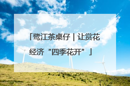 鹭江茶桌仔｜让赏花经济“四季花开”