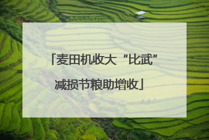 麦田机收大“比武” 减损节粮助增收