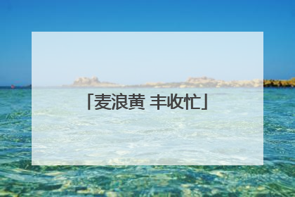 麦浪黄 丰收忙