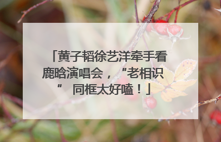 黄子韬徐艺洋牵手看鹿晗演唱会，“老相识” 同框太好嗑！