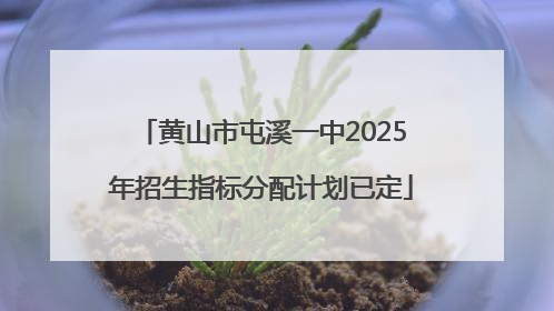 黄山市屯溪一中2025年招生指标分配计划已定