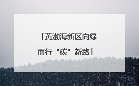 黄渤海新区向绿而行“碳”新路