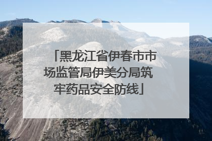 黑龙江省伊春市市场监管局伊美分局筑牢药品安全防线