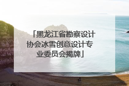 黑龙江省勘察设计协会冰雪创意设计专业委员会揭牌