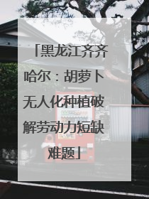黑龙江齐齐哈尔：胡萝卜无人化种植破解劳动力短缺难题