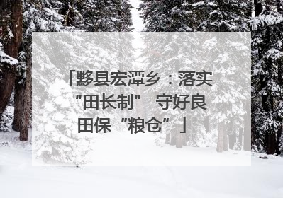 黟县宏潭乡：落实“田长制” 守好良田保“粮仓”