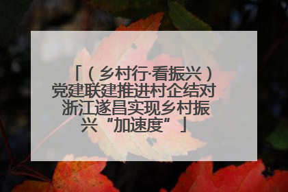 （乡村行·看振兴）党建联建推进村企结对 浙江遂昌实现乡村振兴“加速度”