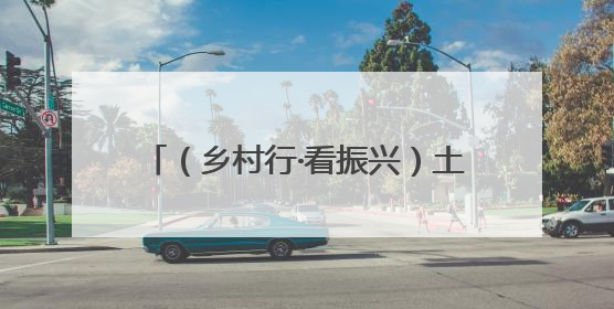 （乡村行·看振兴）土鸡坐上无人机 江西南康“空中快递员”助振兴