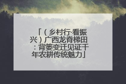（乡村行·看振兴）广西龙脊梯田：背篓变迁见证千年农耕传统魅力