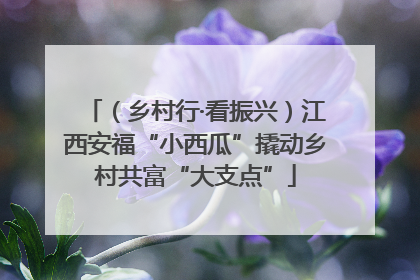 （乡村行·看振兴）江西安福“小西瓜”撬动乡村共富“大支点”