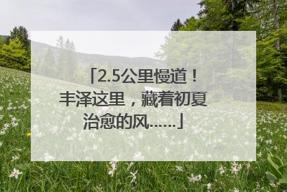 2.5公里慢道！丰泽这里，藏着初夏治愈的风……