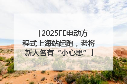 2025FE电动方程式上海站起跑，老将新人各有“小心思”