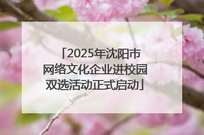 2025年沈阳市网络文化企业进校园双选活动正式启动