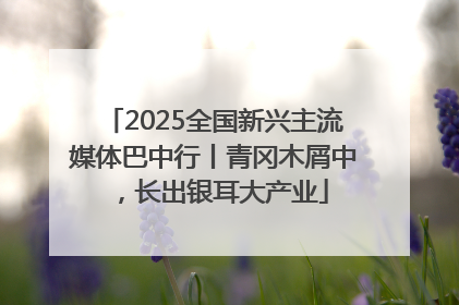 2025全国新兴主流媒体巴中行丨青冈木屑中，长出银耳大产业