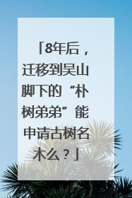 8年后，迁移到吴山脚下的“朴树弟弟”能申请古树名木么？