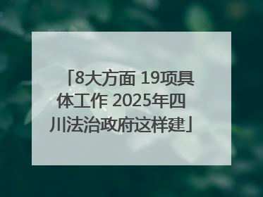 8大方面 19项具体工作 2025年四川法治政府这样建
