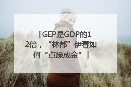 GEP是GDP的12倍，“林都”伊春如何“点绿成金”