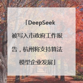 DeepSeek被写入市政府工作报告，杭州将支持算法模型企业发展