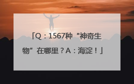 Q：1567种“神奇生物”在哪里？A：海淀！